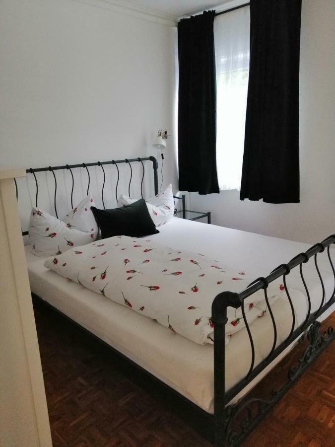 Apartment Froschkoenig Gladenbach Buitenkant foto